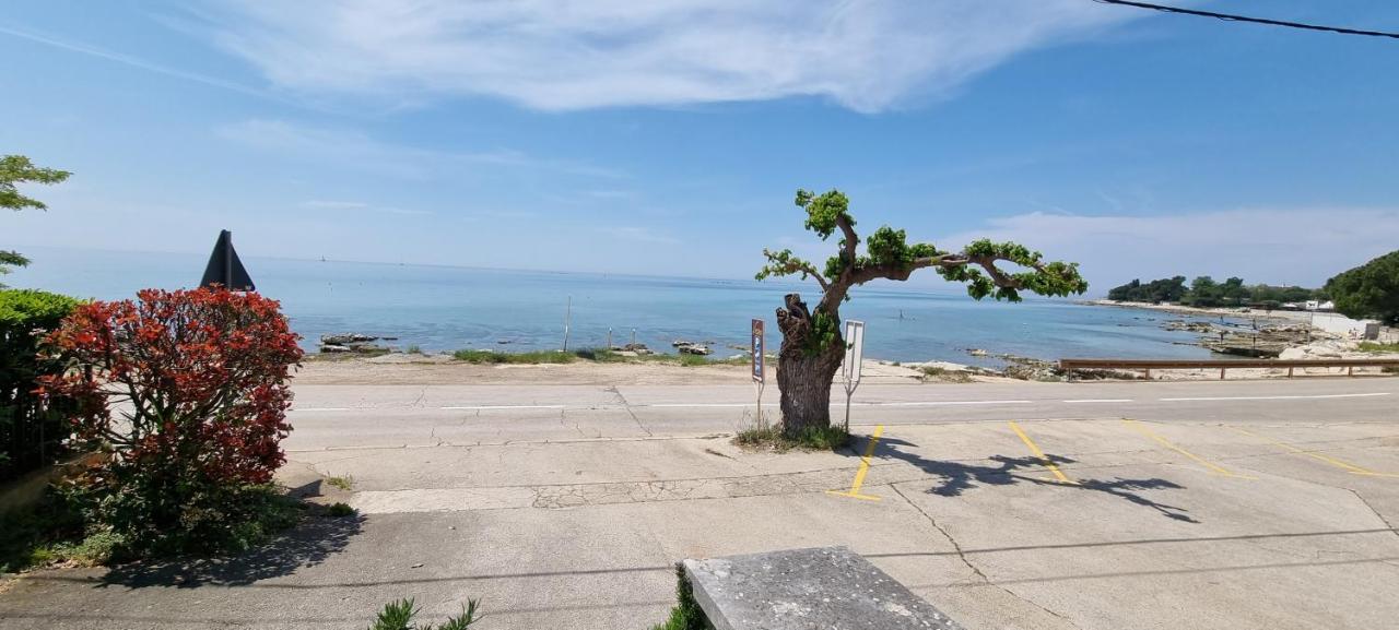 Romantic Apartment For Two On The Sea Zambratija  Exterior foto